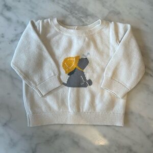 Ivory puppy in rain, hat, cotton knit back button sweater